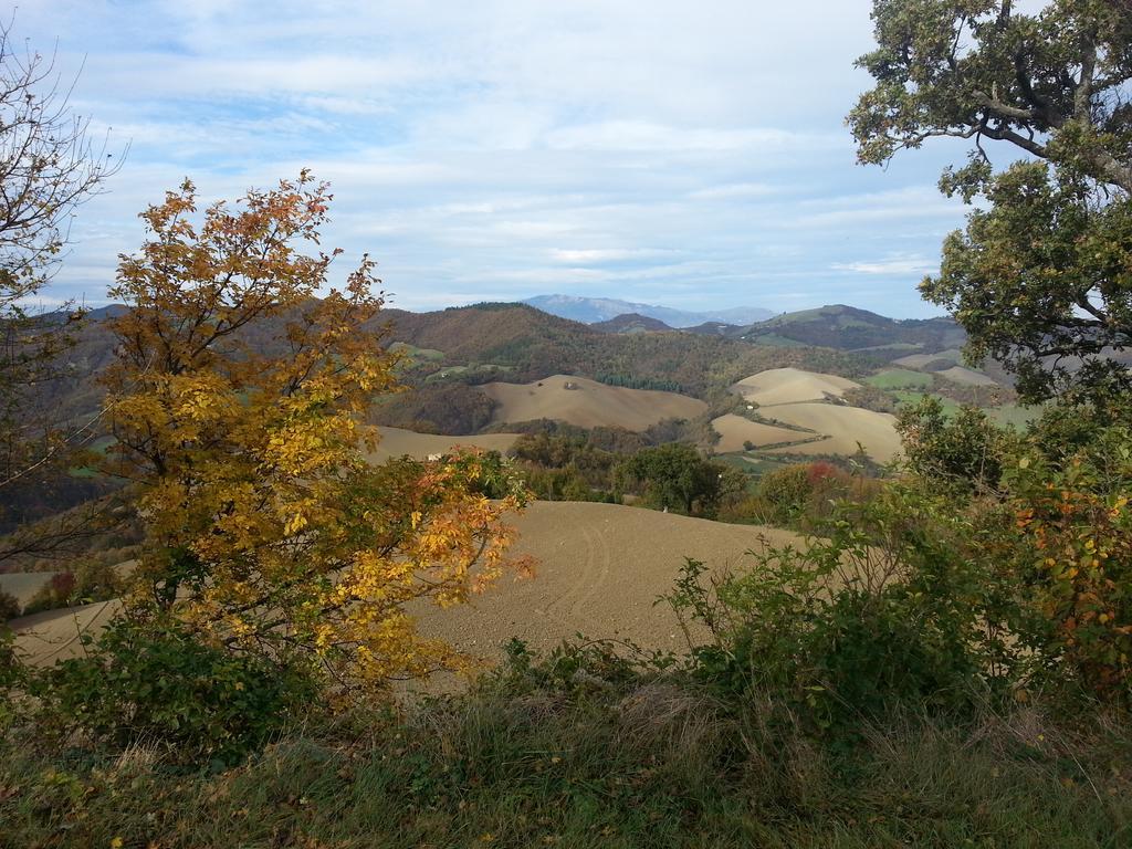 Girfalco Country House Bed & Breakfast Urbino Exterior photo