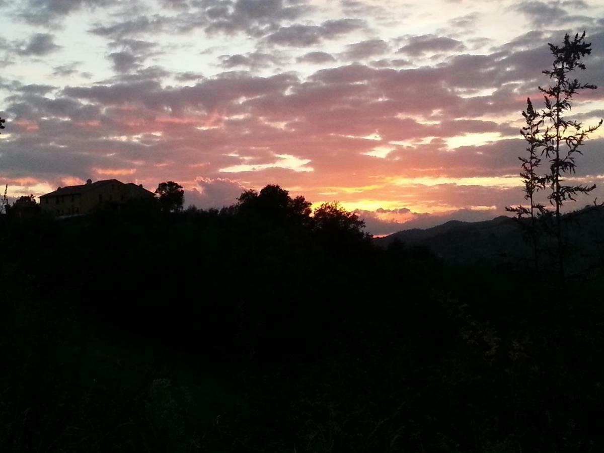 Girfalco Country House Bed & Breakfast Urbino Exterior photo